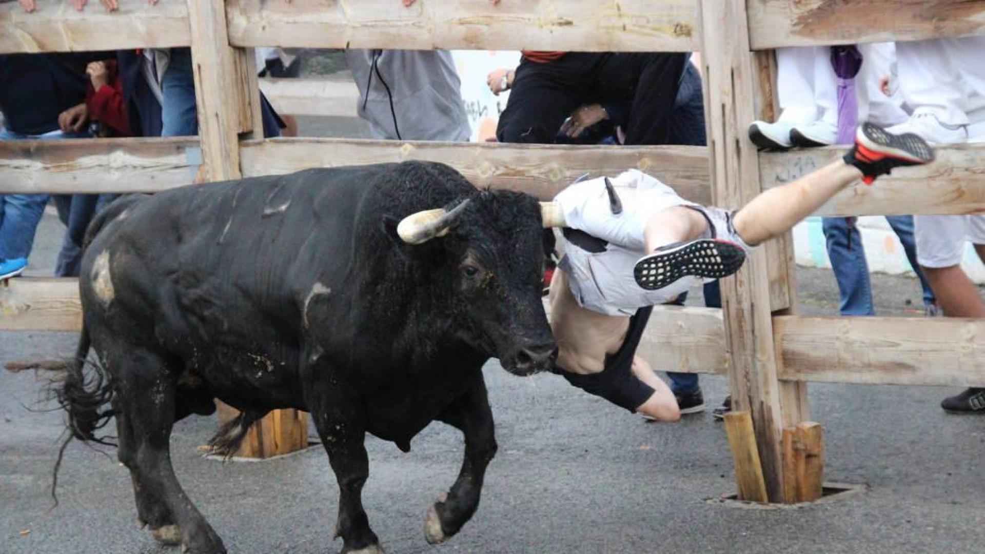 El joven corneado en Sangüesa evoluciona “bien”