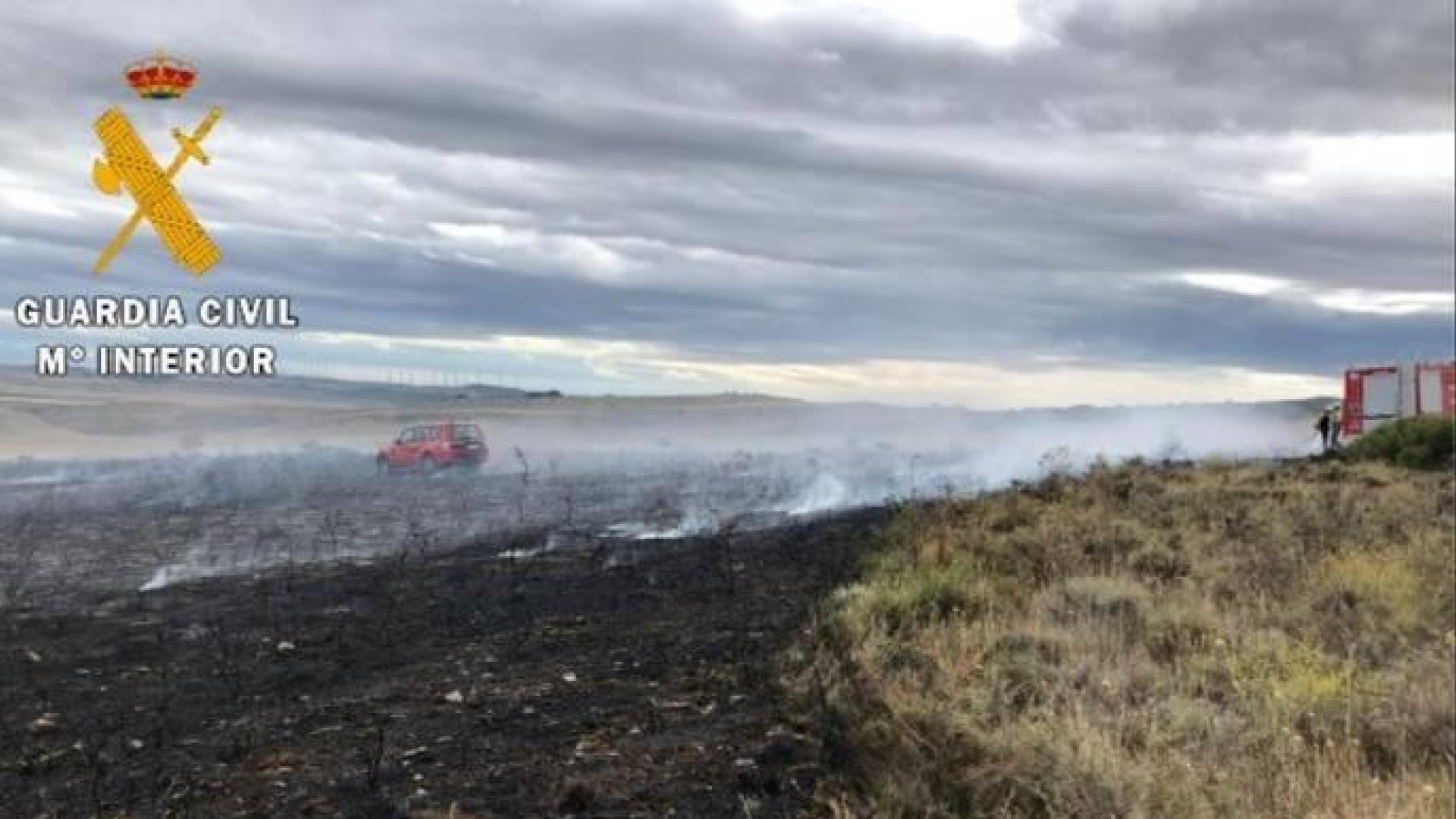 Terreno quemado en el incendio de Miranda de Arga