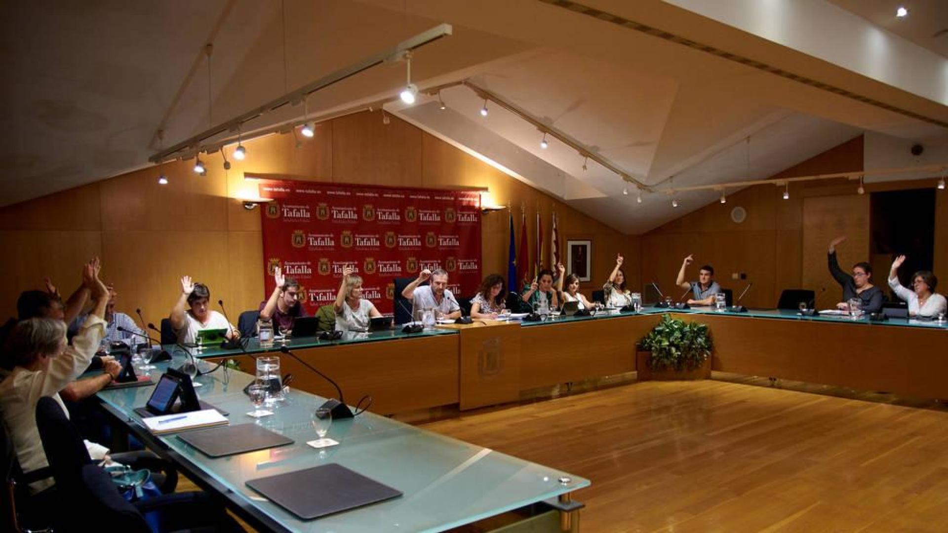 Todos los partidos en el Consejo Sectorial de Cultura de Tafalla