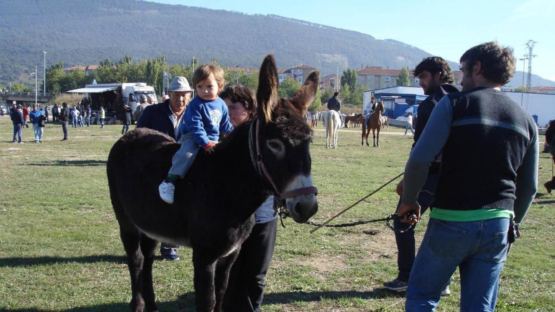 La feria de ganado equino de San Miguel vuelve el jueves al polígono de Agustinos