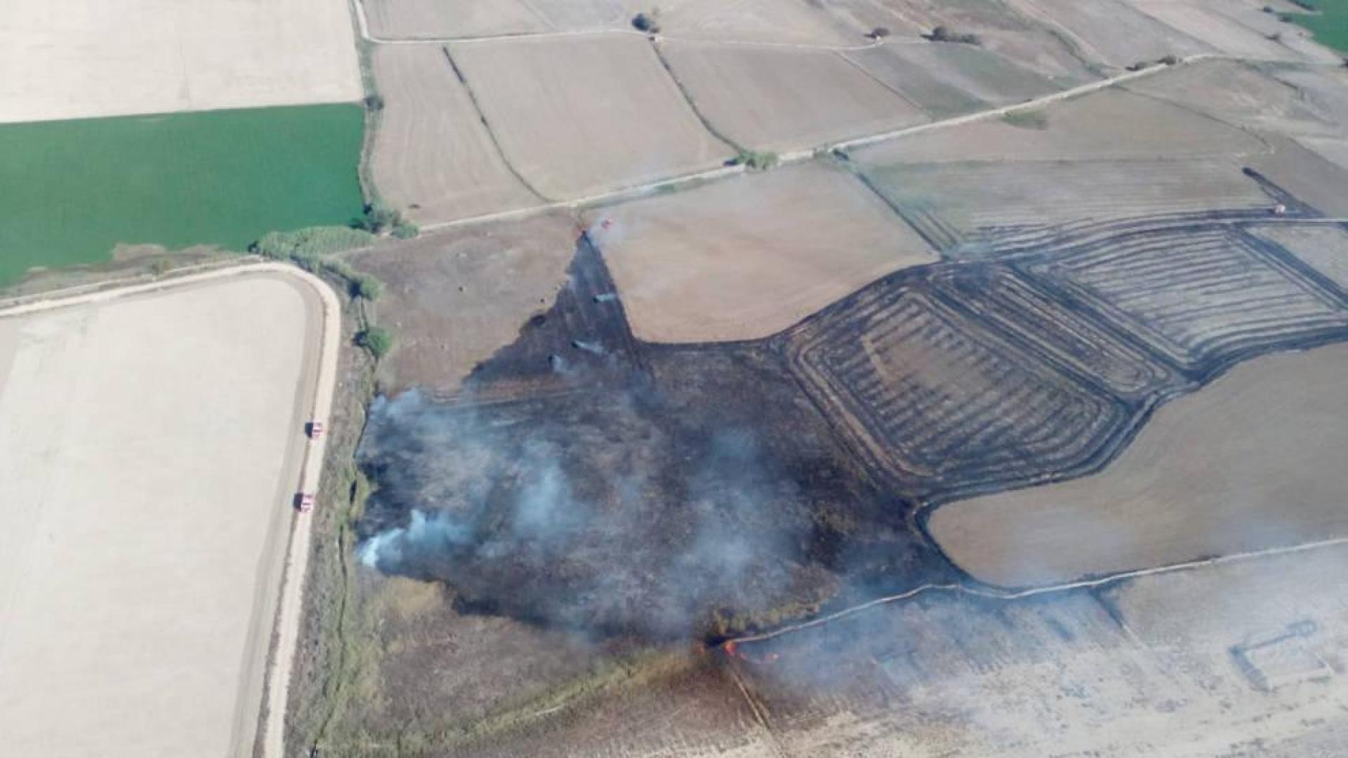Superficie quemada del incendio en Falces.