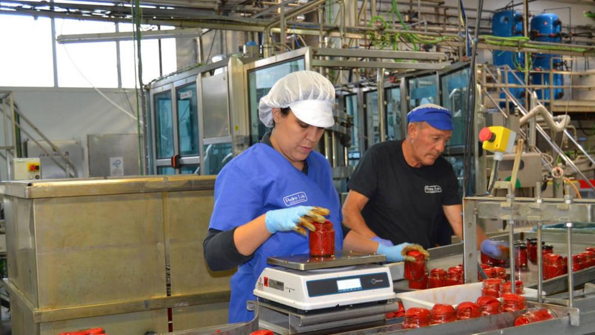 Lodosa celebra el fin de semana la exaltación del Pimiento del Piquillo
