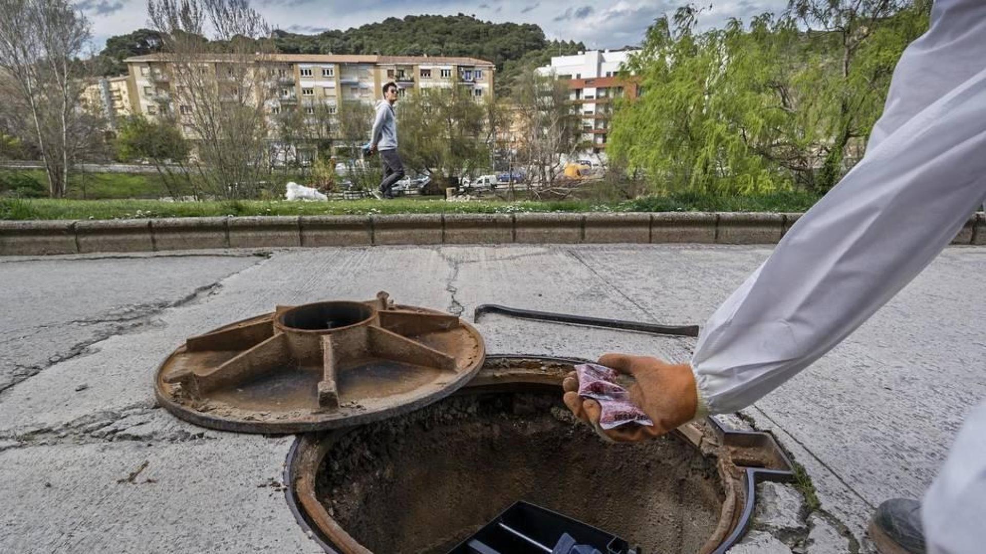 El control de ratas seguirá en Estella tras actuar este miércoles en calles del centro
