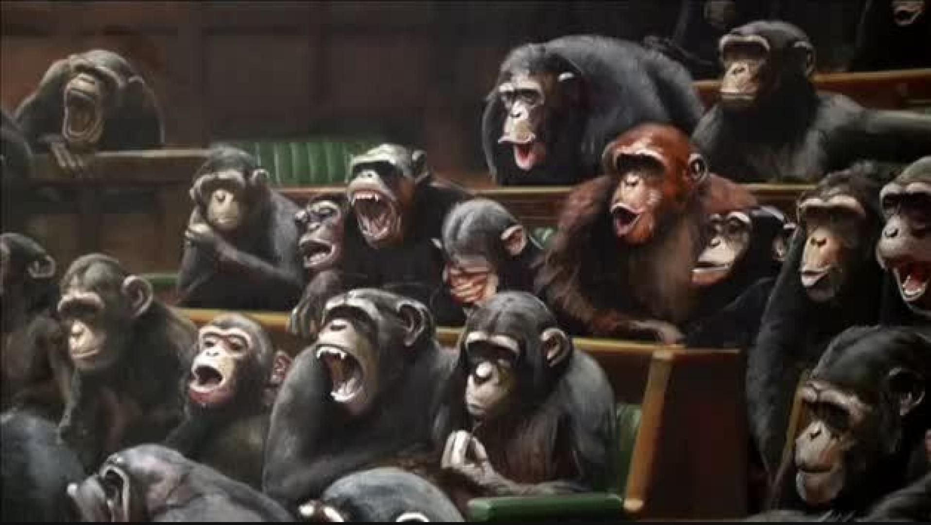 Chimpancés en el Parlamento británico