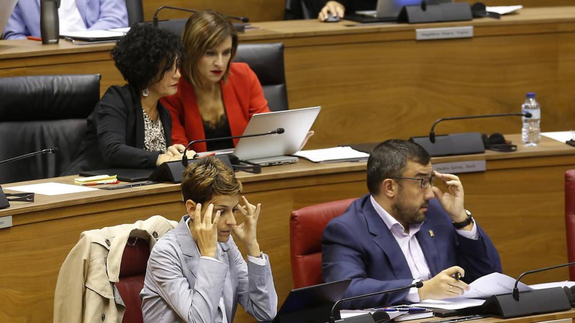 El decreto del euskera, en entredicho desde su inicio
