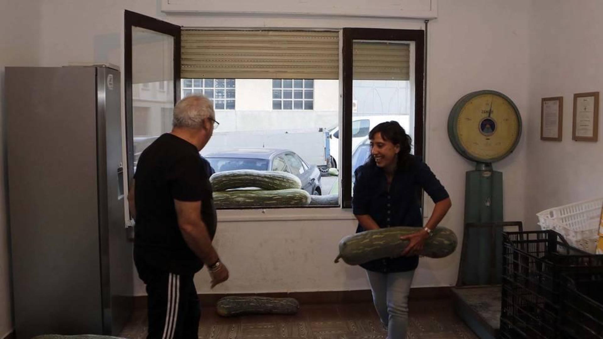 'Huertas solidarias de Sangüesa', una ventana a la solidaridad