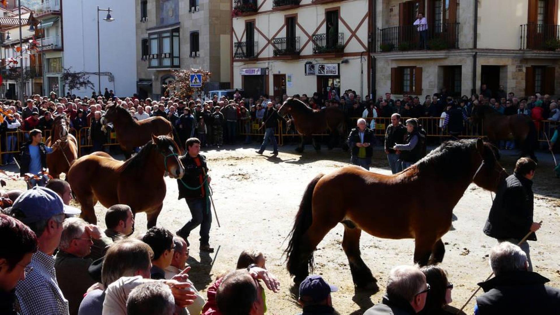 Las ferias de Alsasua llegarán con el anticipo de las jornadas de setas
