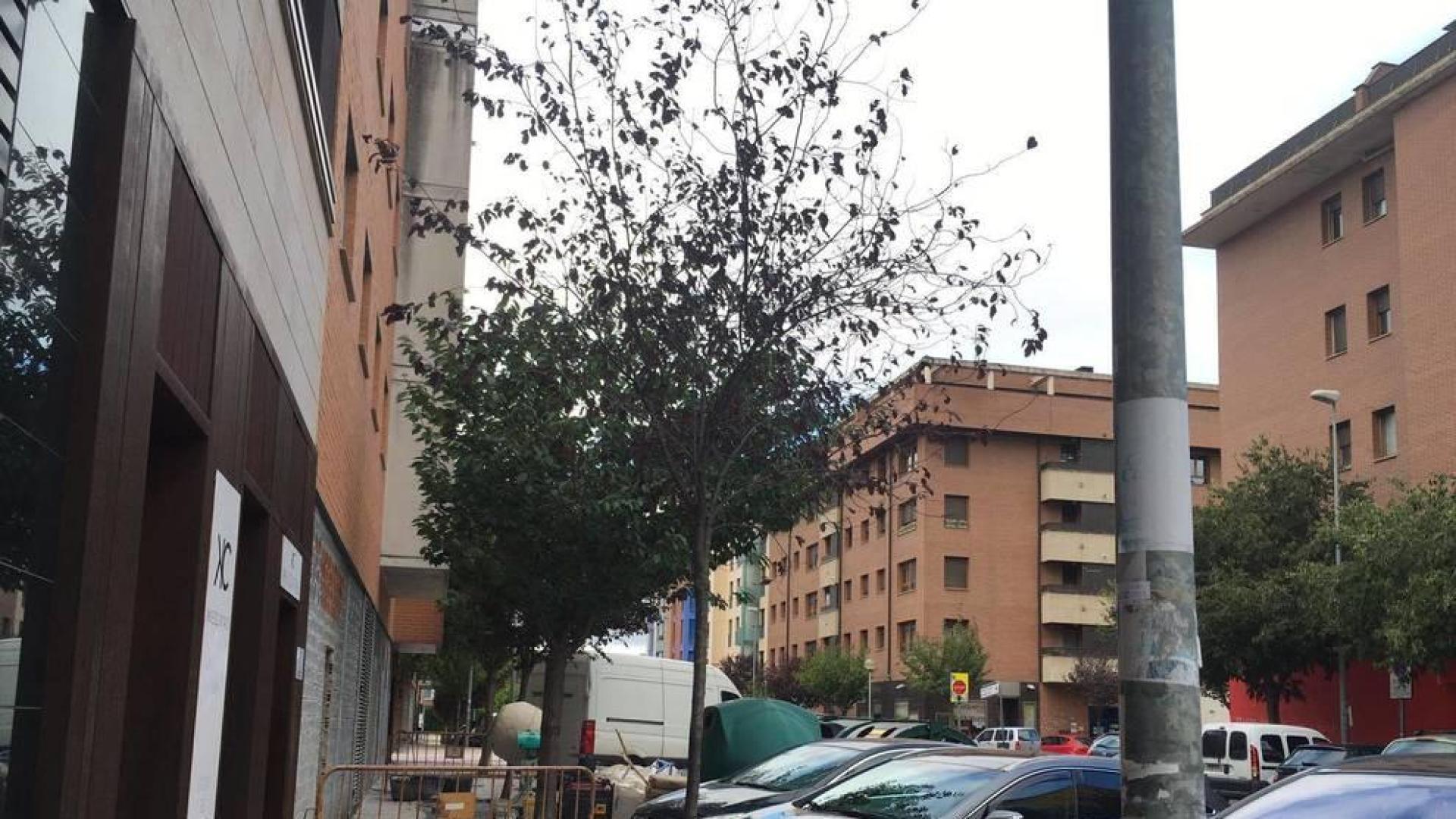 En marcha obras para una casa de apuestas en Huarte