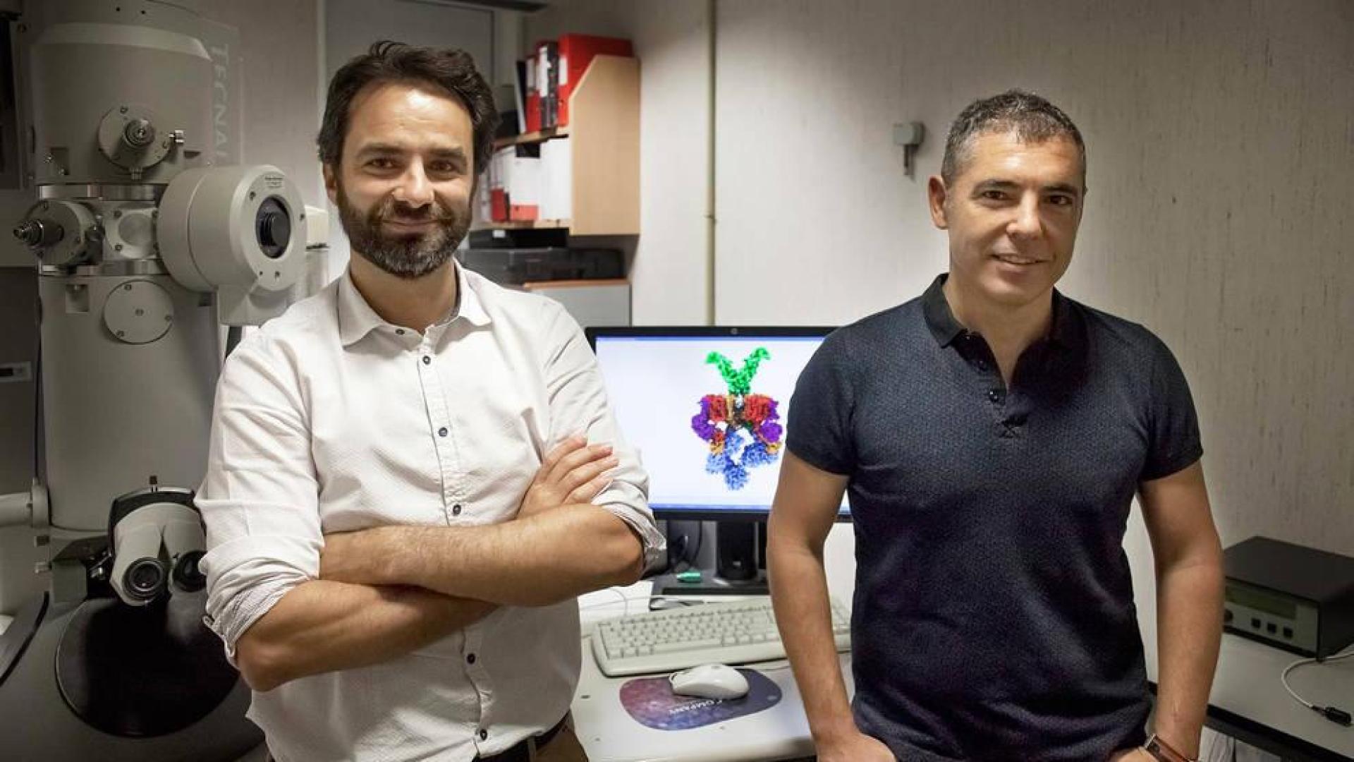 Un navarro lidera una novedosa investigación de la tuberculosis