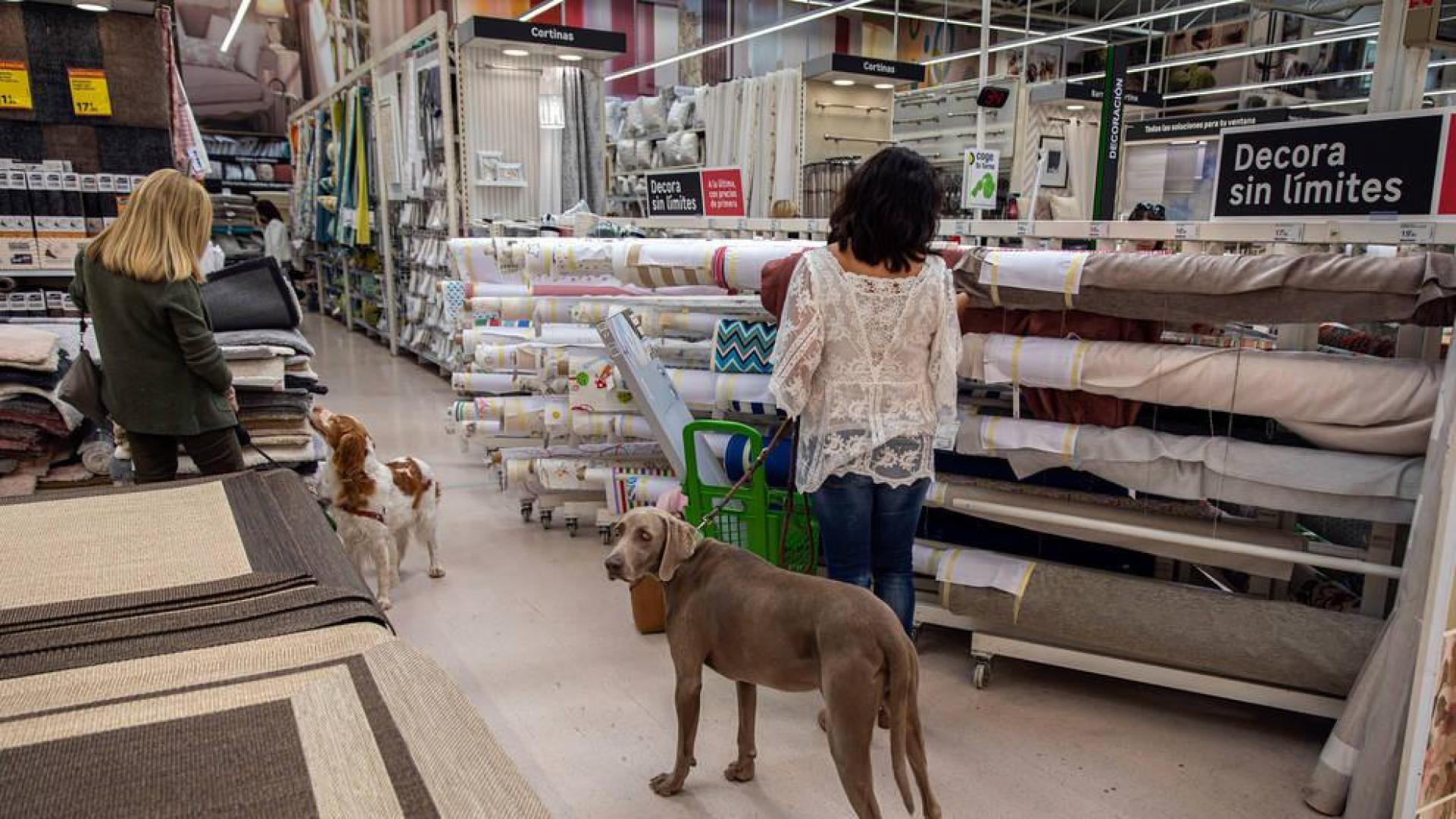 Los perros también van de compras en Pamplona