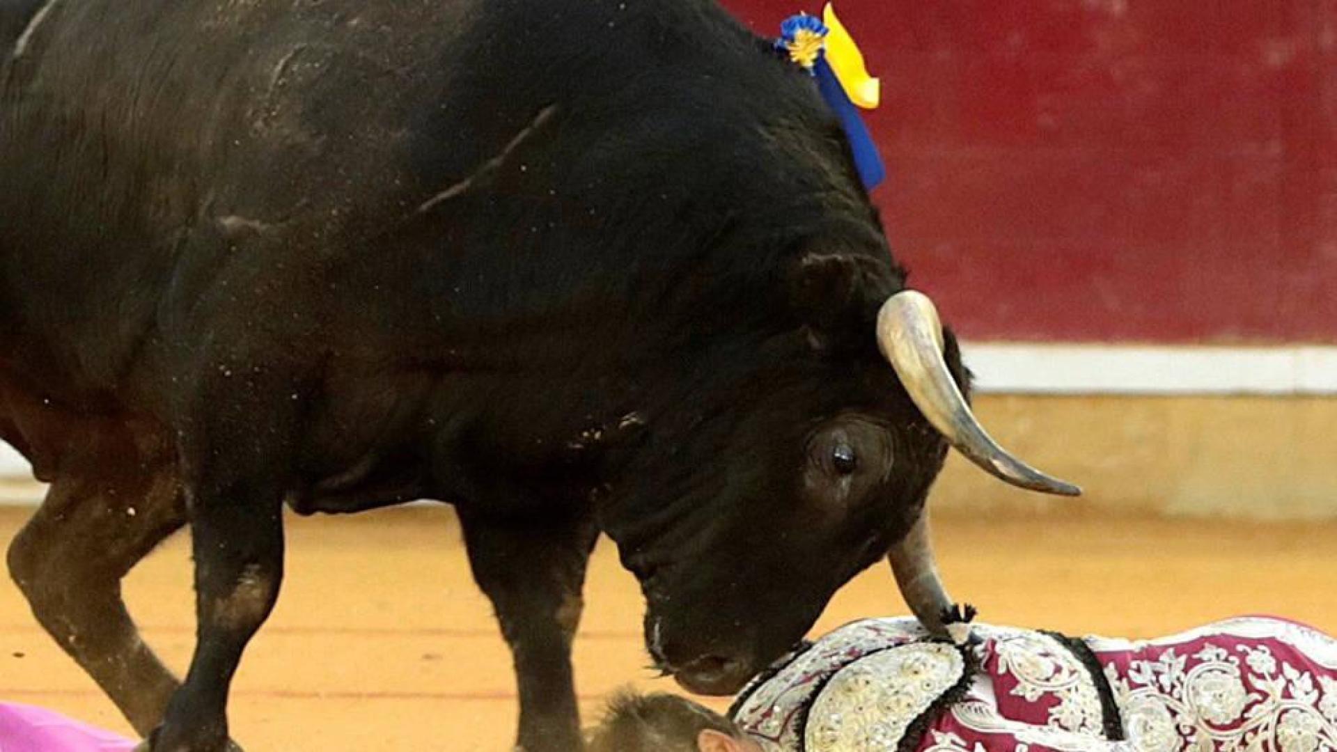 El banderillero Mariano de la Viña sufre una grave cornada en Zaragoza