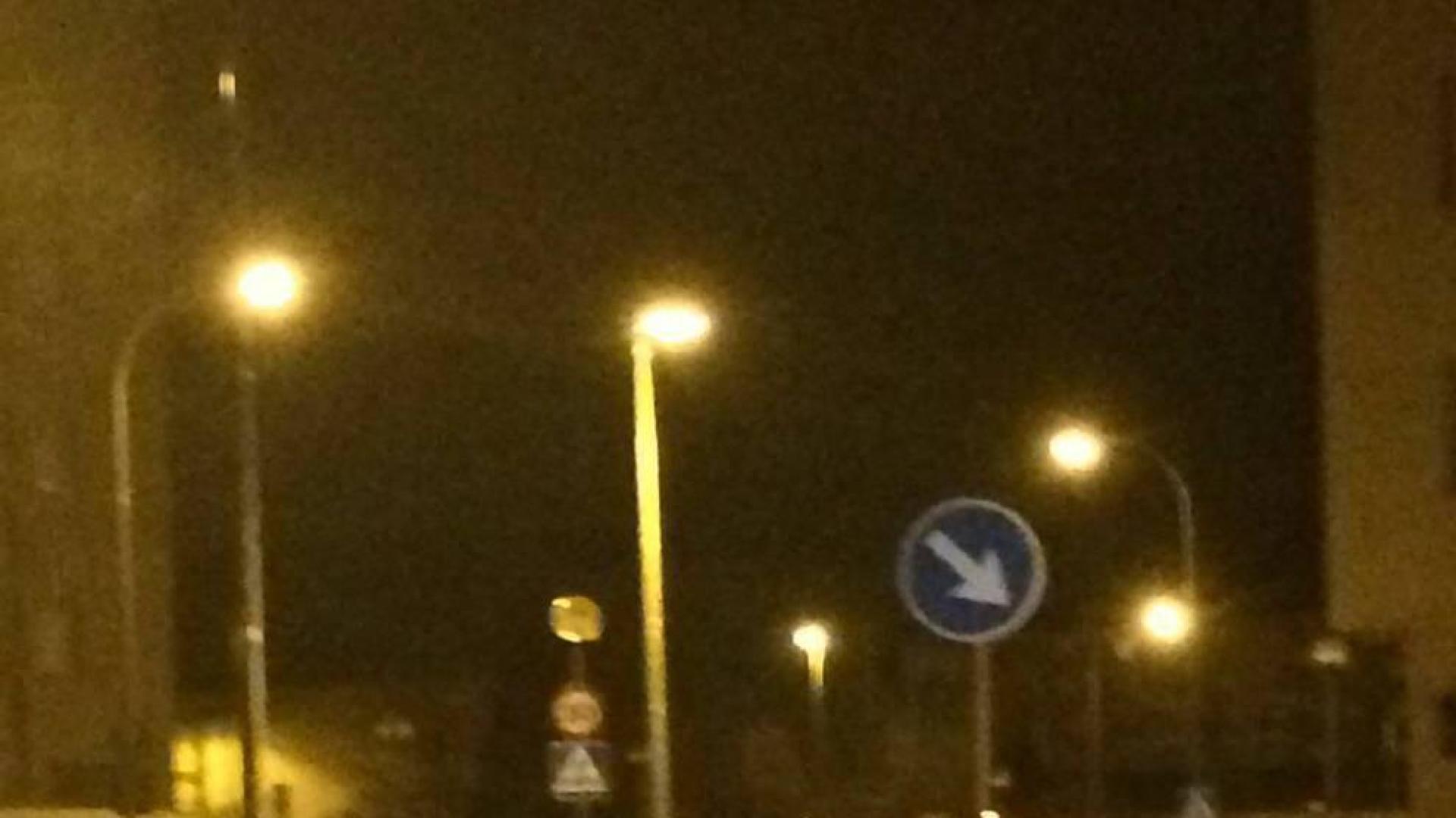 Un jabalí pasea de madrugada por la Rochapea