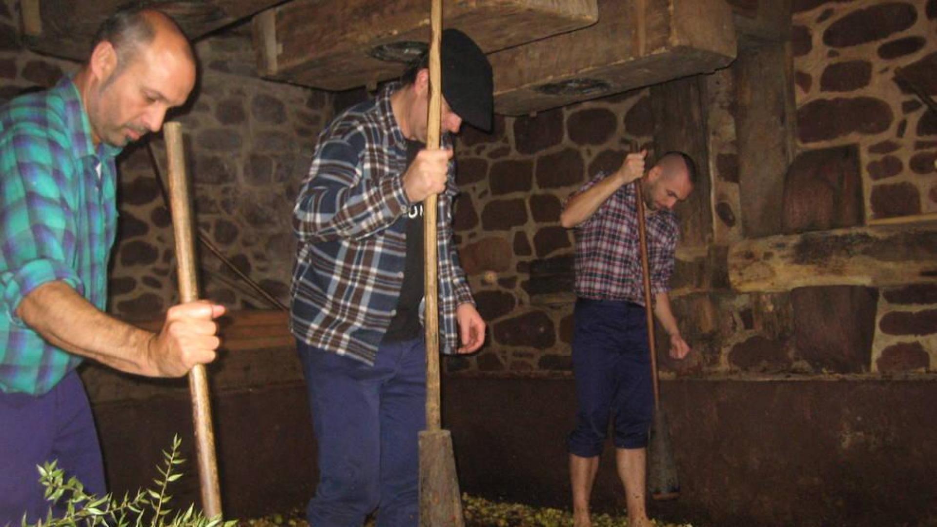 Los tres encargados de ayer de triturar la manzana esparcida en el lagar a base de golpe de mazas.