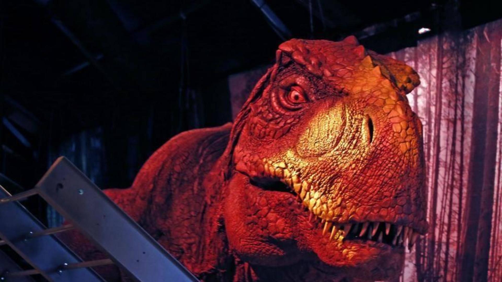 La exposición Dinosaurs Tour llega a Pamplona el 1 de noviembre
