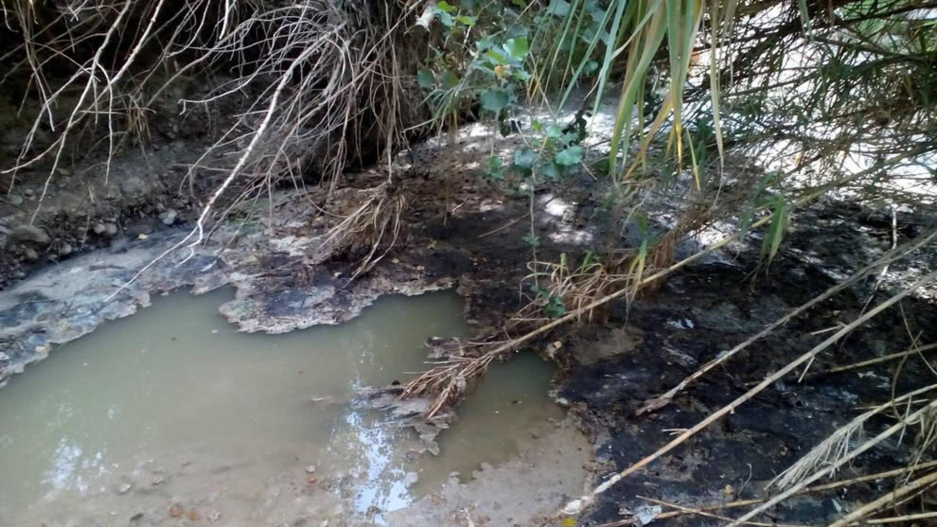 Corella denuncia vertidos al Alhama de aguas residuales de la depuradora