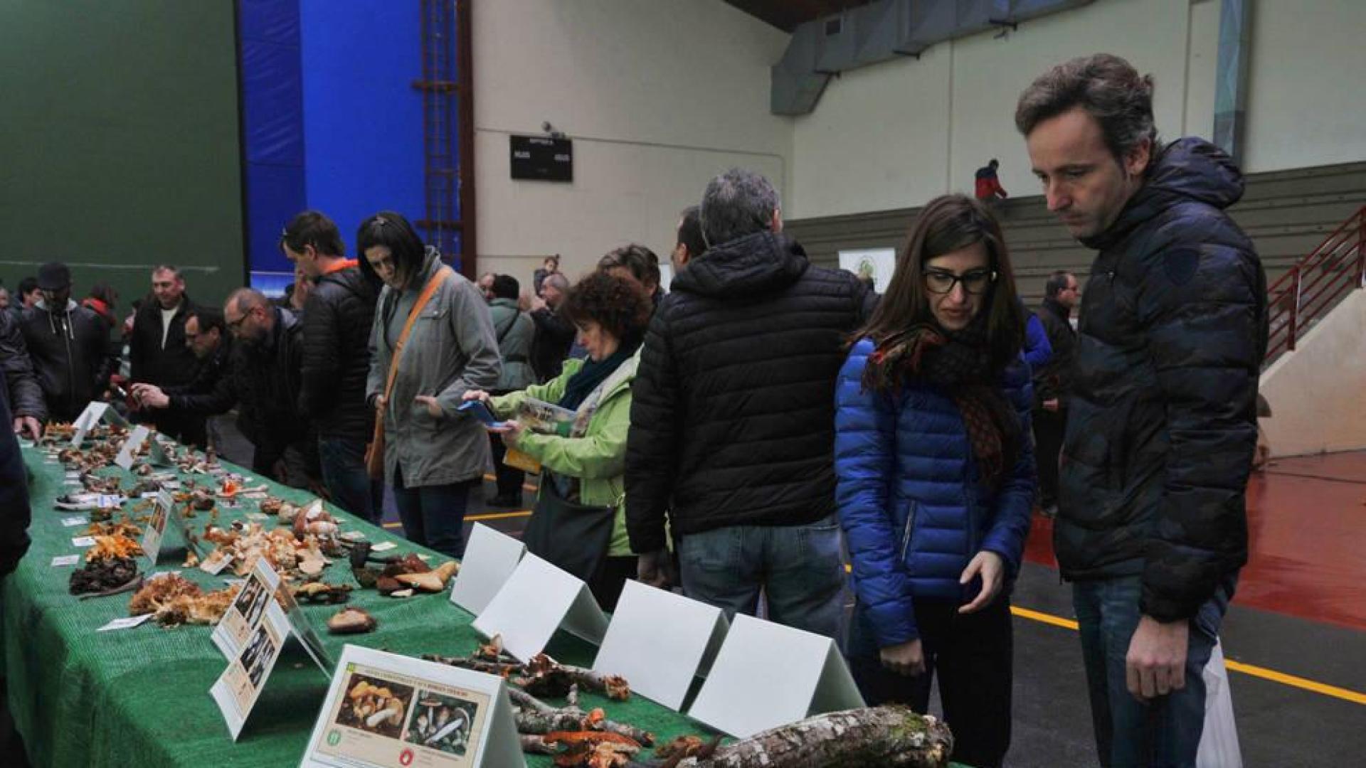 Ultzama programa desde el viernes actividades por el IX Día del Hongo