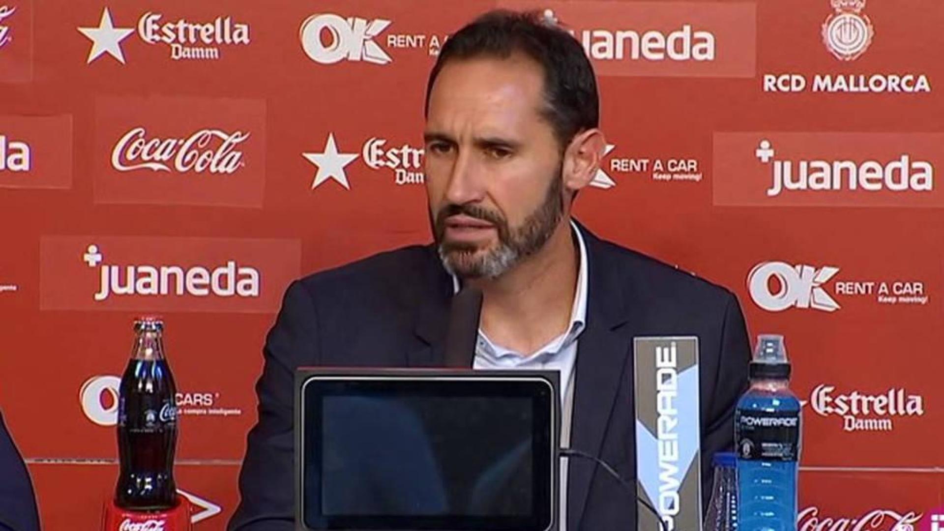 Vicente Moreno, entrenador del Mallorca.