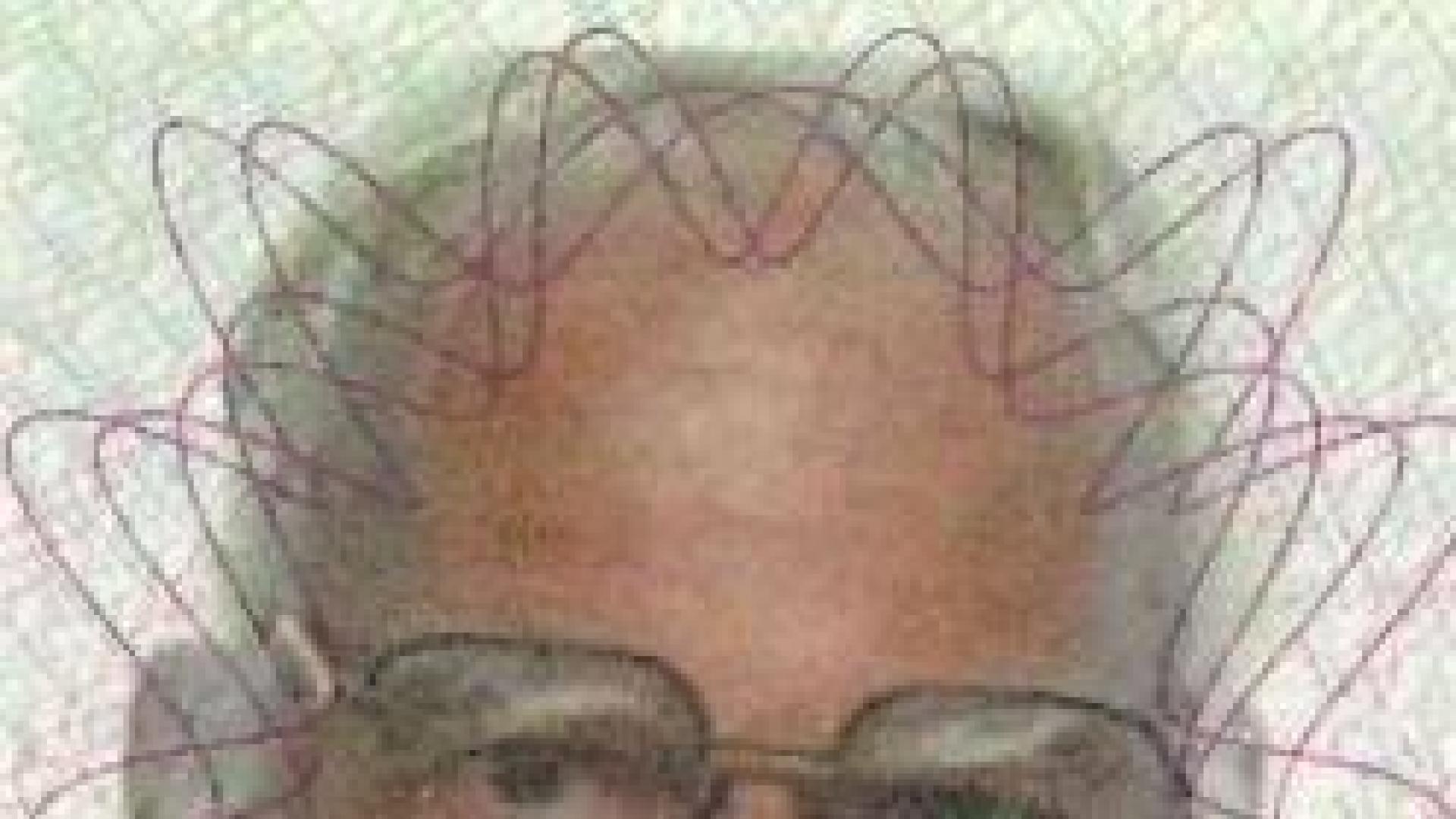 La Policía pide ayuda ciudadana para identificar a un fallecido hallado en Granada