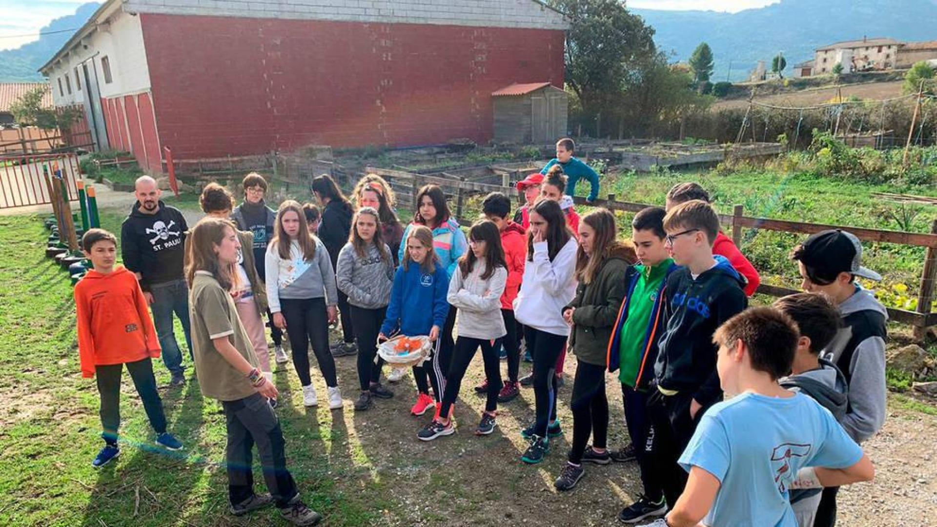 Convivencia sin barreras en Ollo
