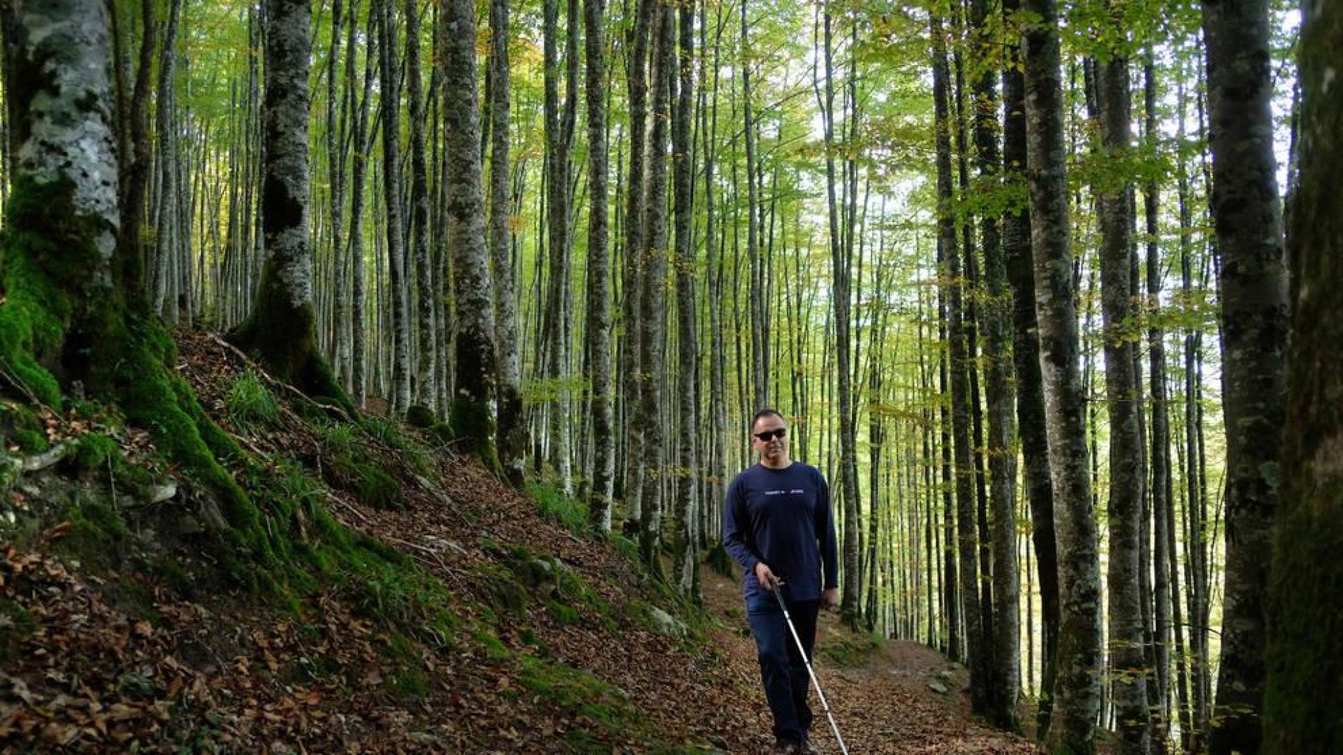 Irati a ciegas: ¿Es posible disfrutar de un bosque sin verlo?