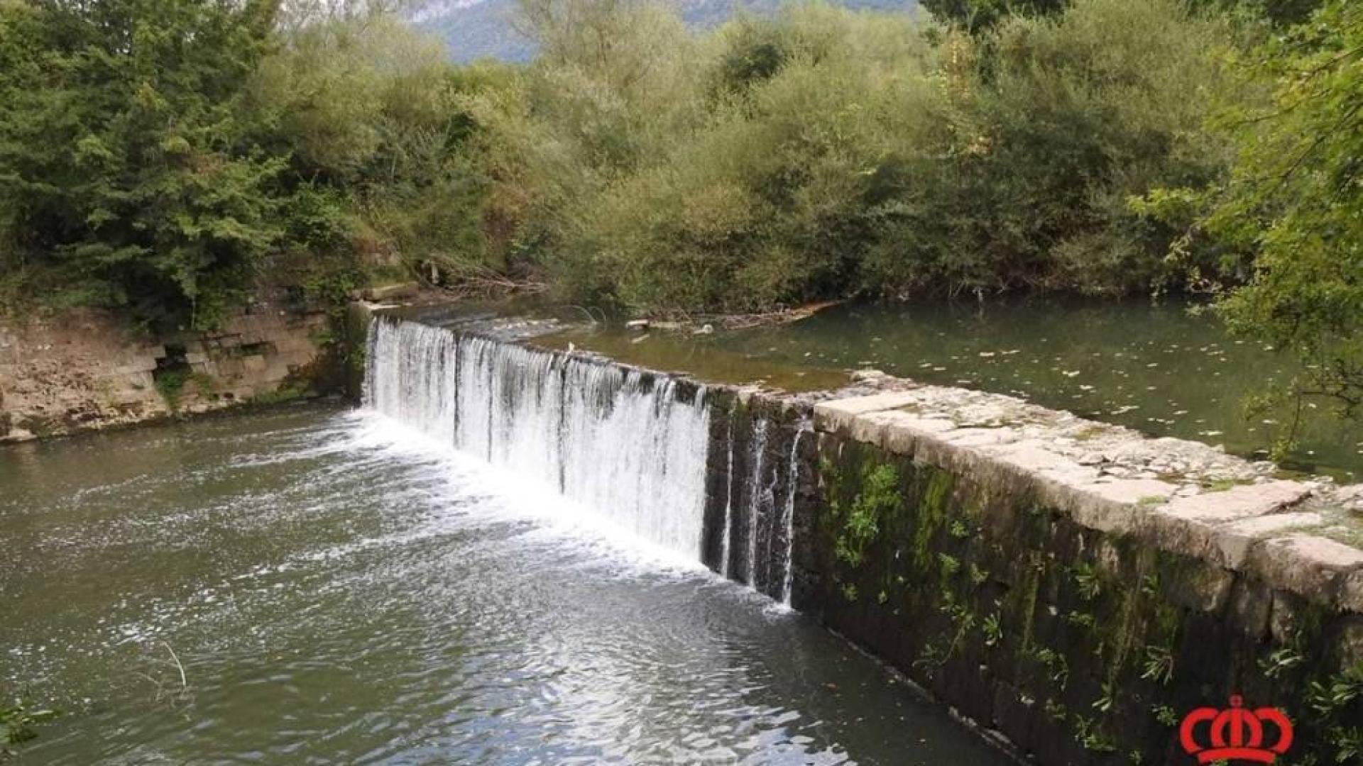 Zona del río Arakil en la que apareció muerta la perra