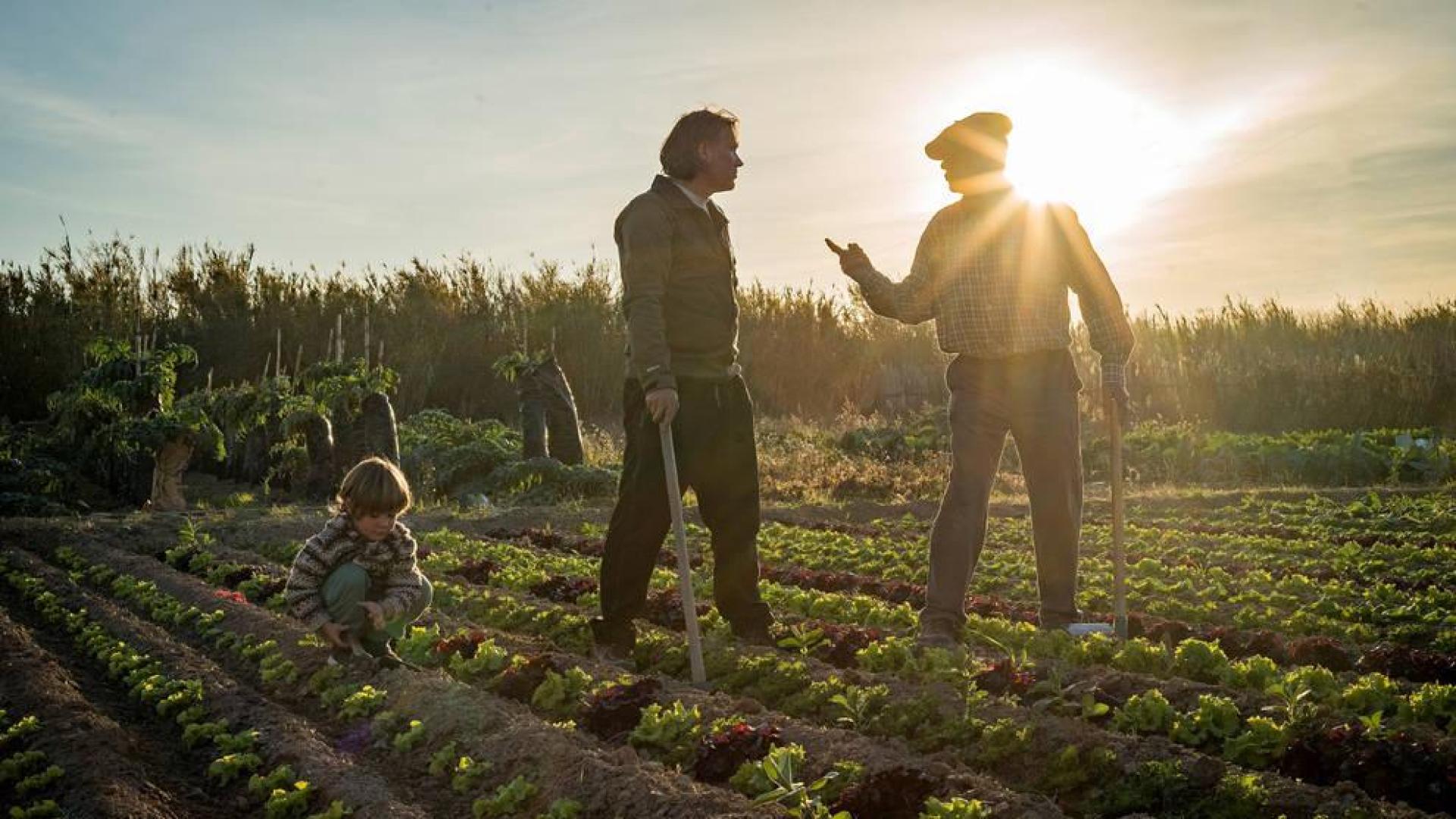 Llega Zinelur, un ciclo de cine agroalimentario en la Filmoteca de Navarra