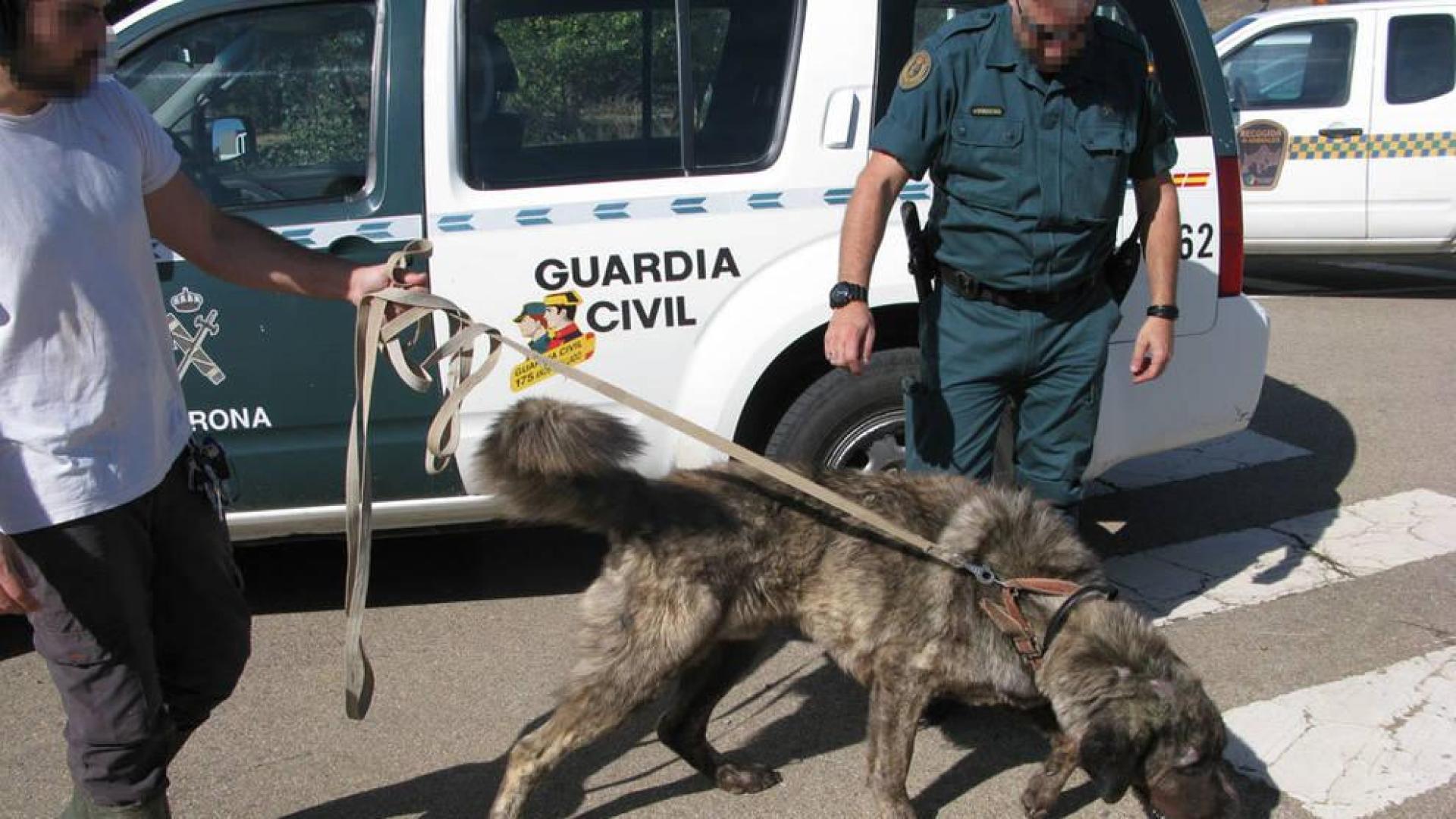 Un vecino de Arguedas, investigado por un presunto delito de maltrato animal