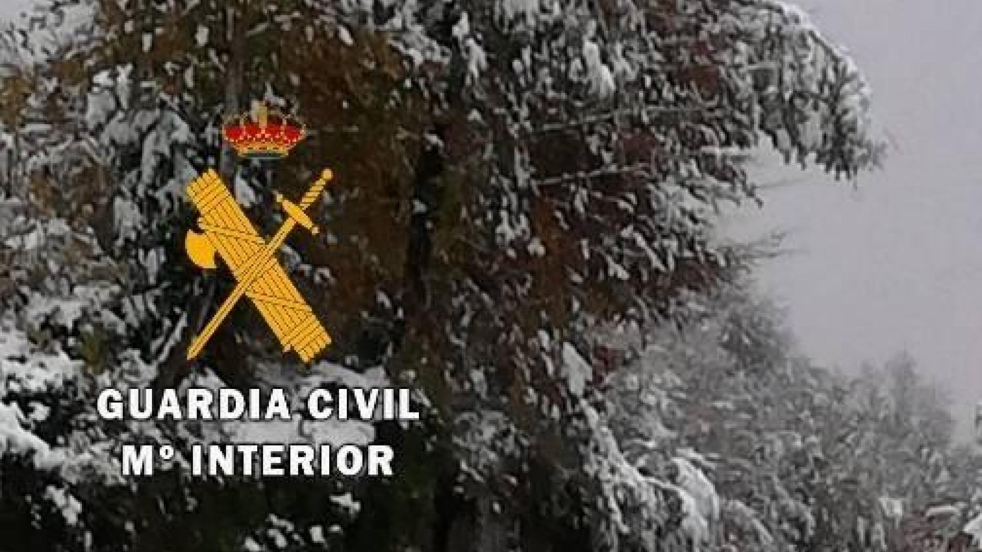 La zona de Larra-Belagua, en Roncal, ha amanecido este jueves con un espesor de nieve de unos 10 cm después de la nevada de esta noche. La cota de nieve, que se encuentra sobre los 1200-1400 metros, bajará hasta los 900-1000 metros en las próximas horas.