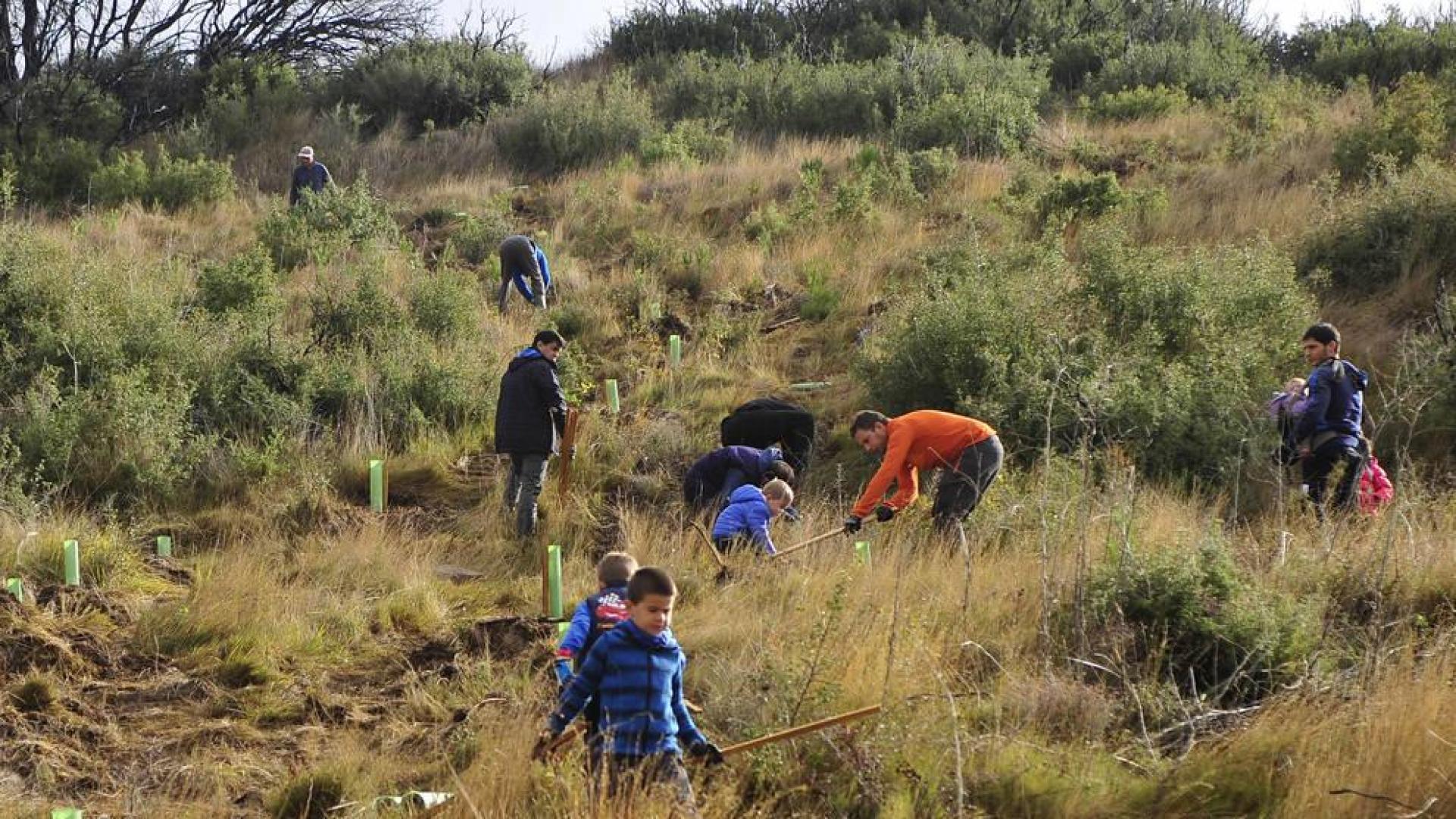 Los vecinos de Artajona trabajan juntos para repoblar sus montes