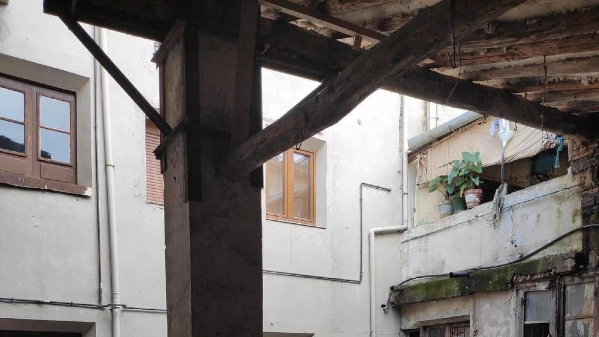 Un buitre que no podía volar acaba en un patio de Estella