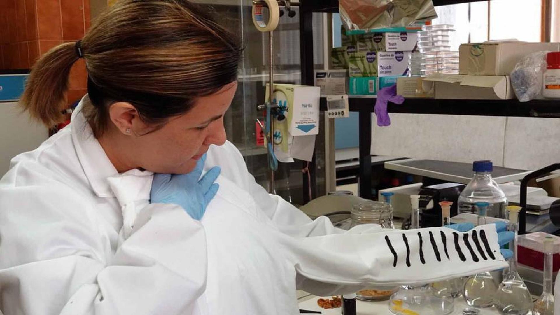 Diseñan en la Universidad de Málaga una camiseta que produce electricidad