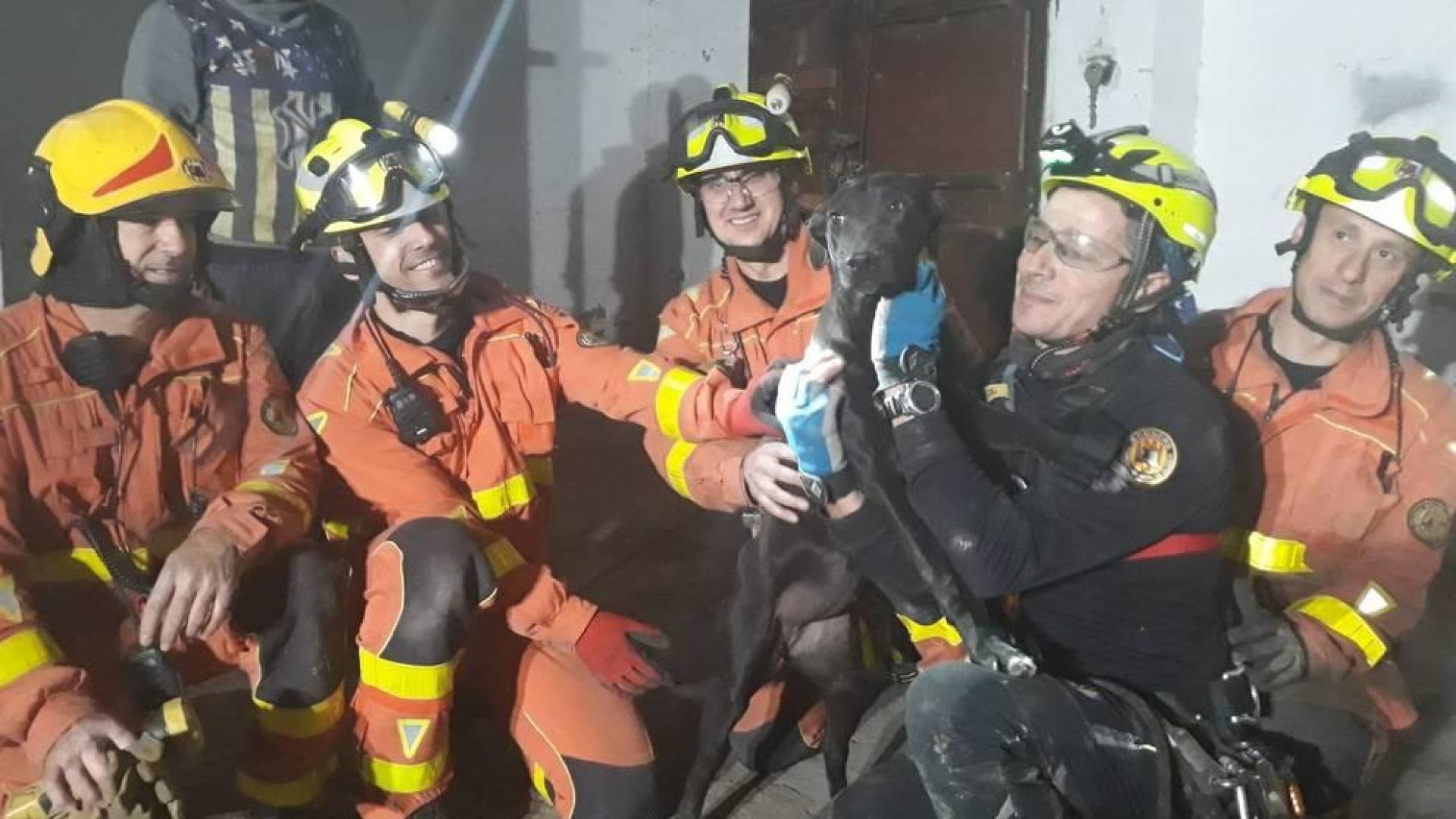 Rescatado un perro que había caído por un pozo de 20 metros en Valencia