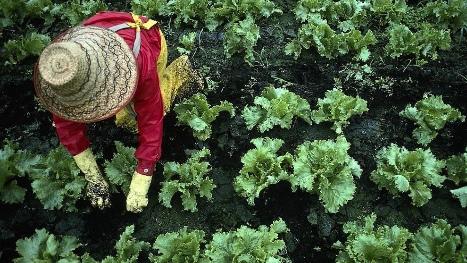 Mujeres rurales: "Vivir y trabajar en el medio rural no puede ser cosa de heroínas"