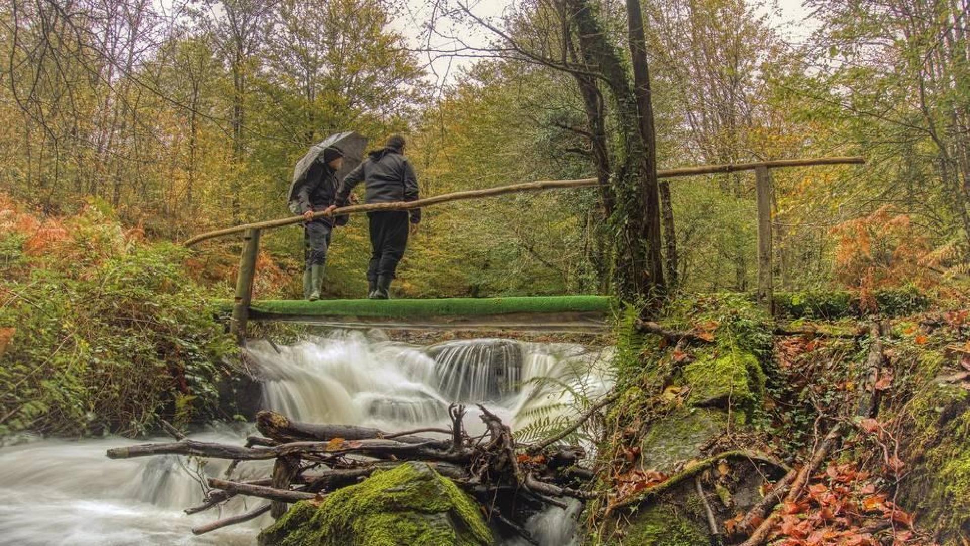 Fin de semana con nieblas y lluvia para el domingo