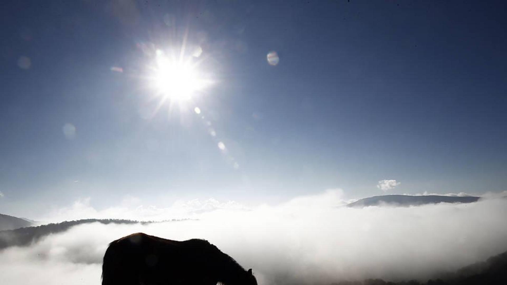 Martes nuboso con escasa lluvia