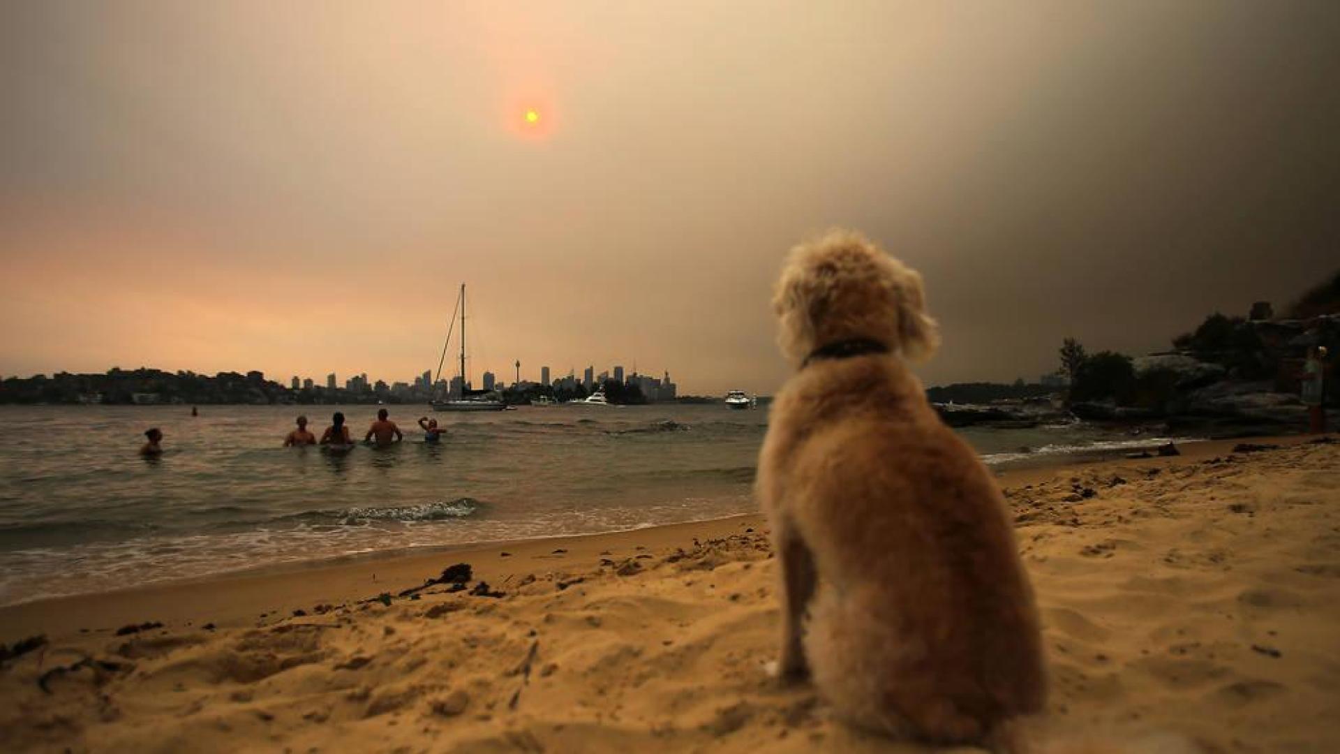 Casi 3.000 bomberos combaten más de un centenar de incendios en Australia