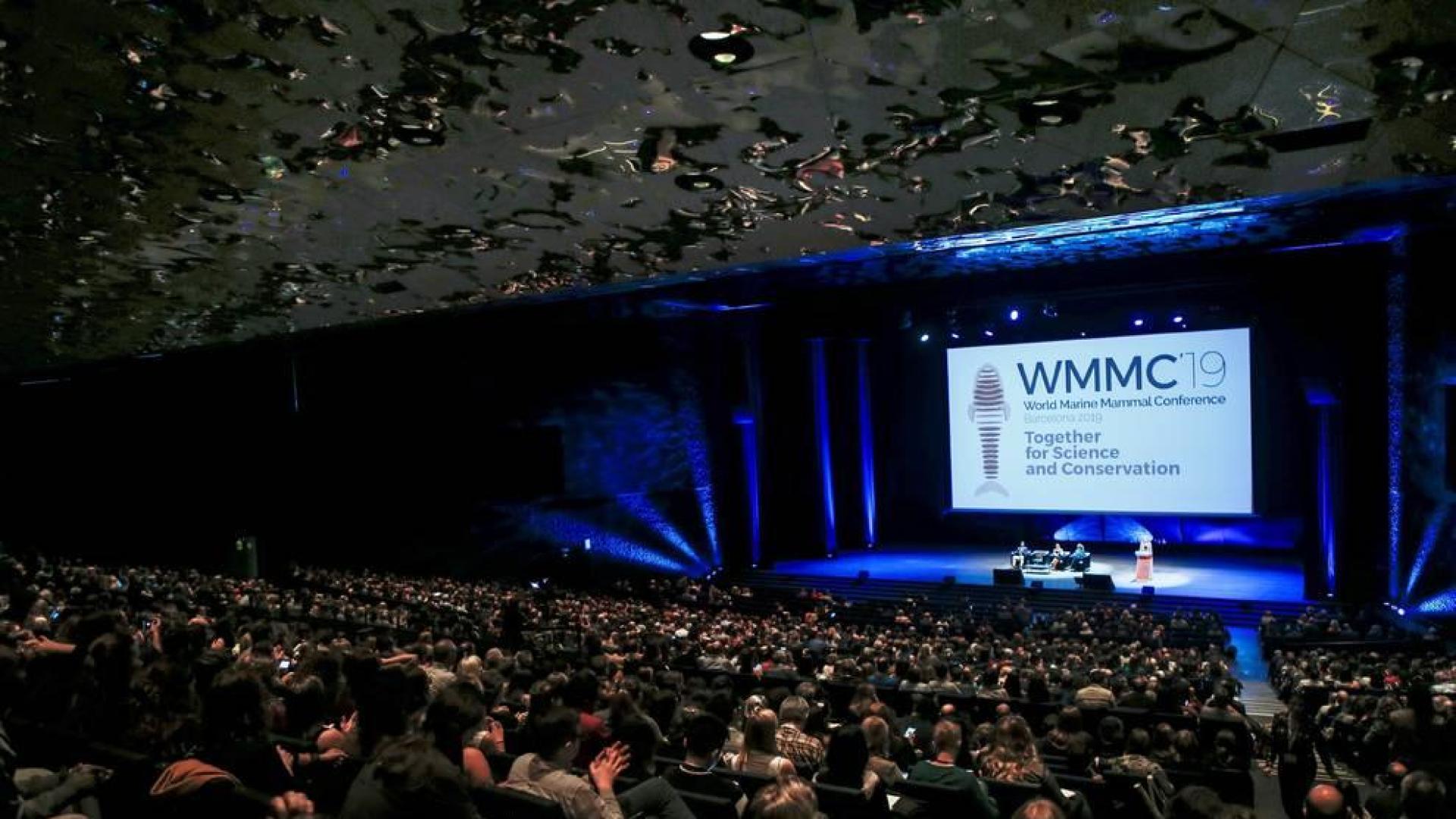 Los científicos resaltan que "ahora hay tecnología" para salvar mamíferos marinos