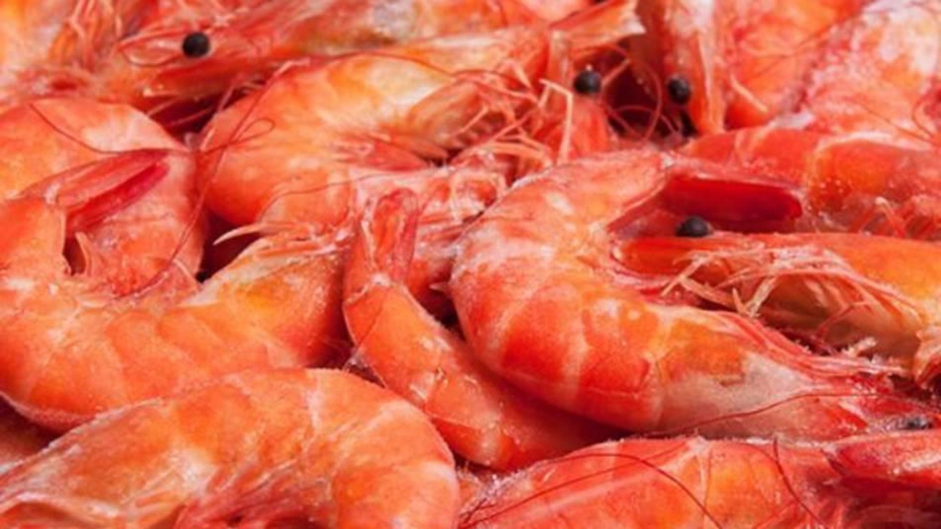 Sanidad advierte del riesgo de chupar las cabezas de las gambas