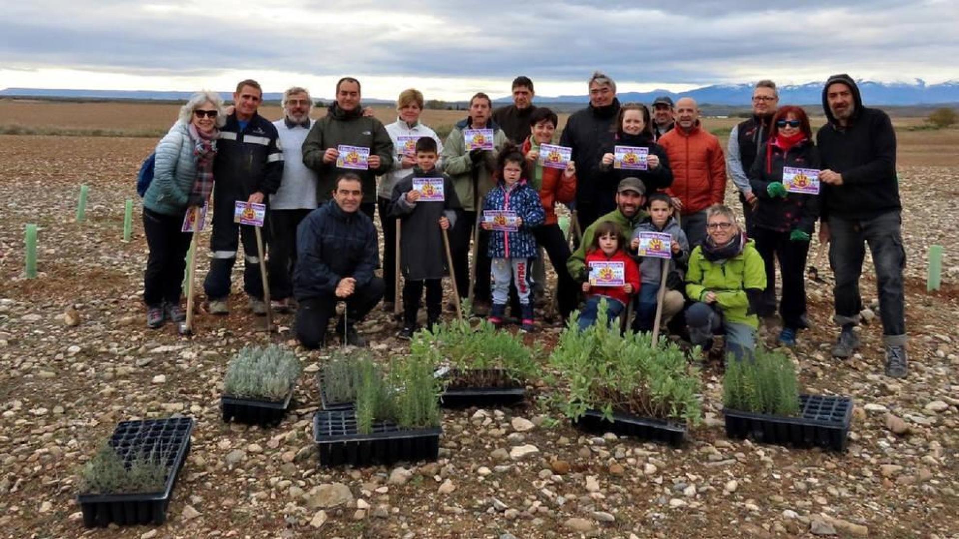 Reforestación en el entorno de la balsa del Pulgue