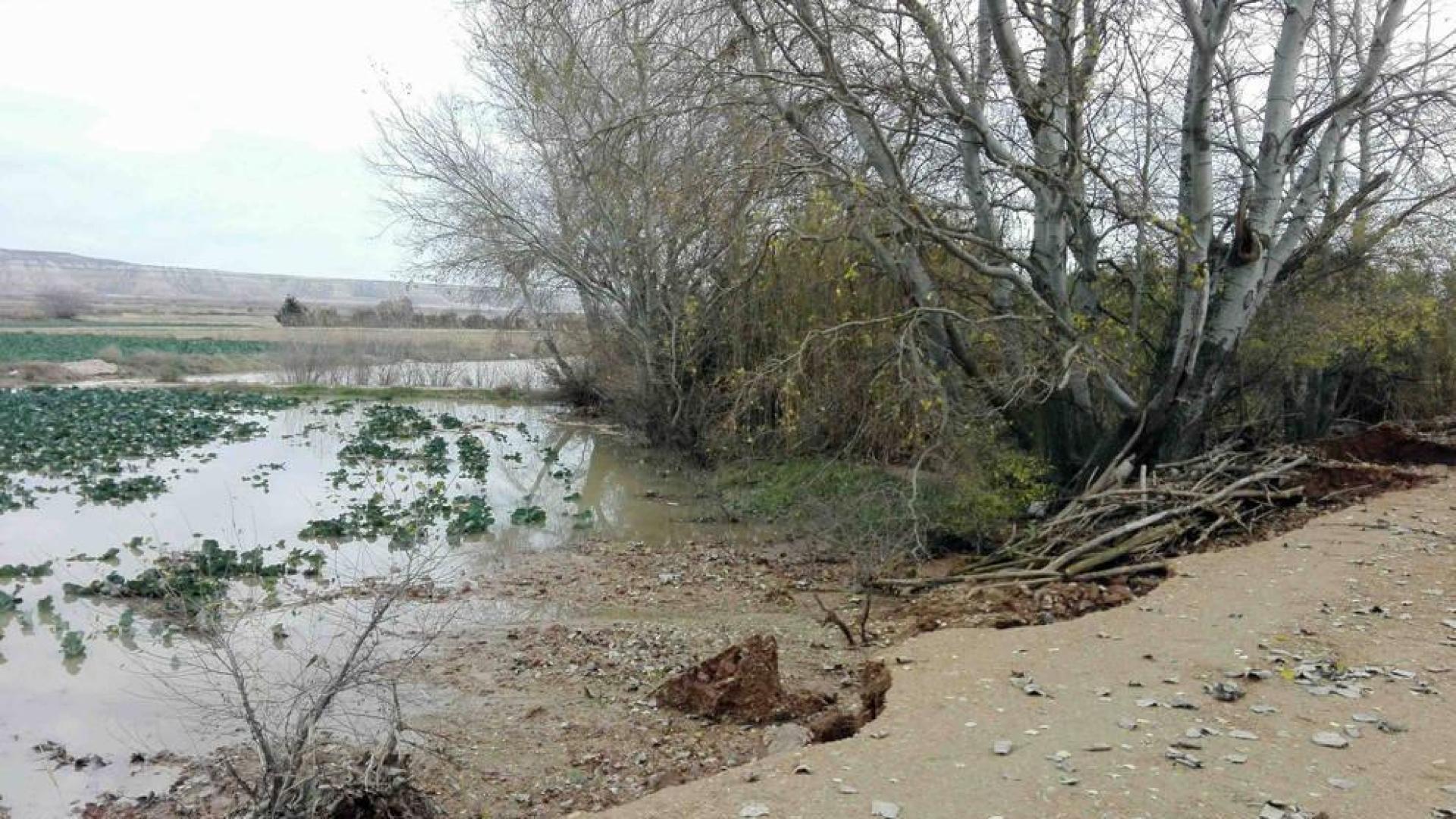 El desbordamiento del Ebro anega siete términos de Buñuel