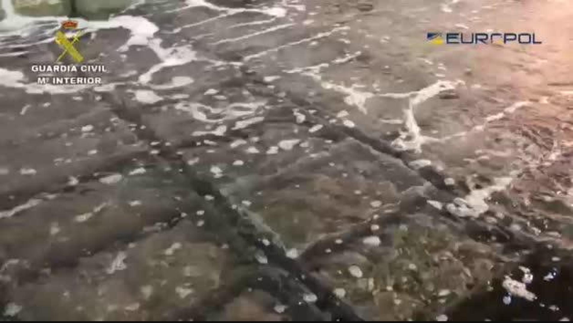 Intervenidas casi 40 toneladas de almejas contaminadas