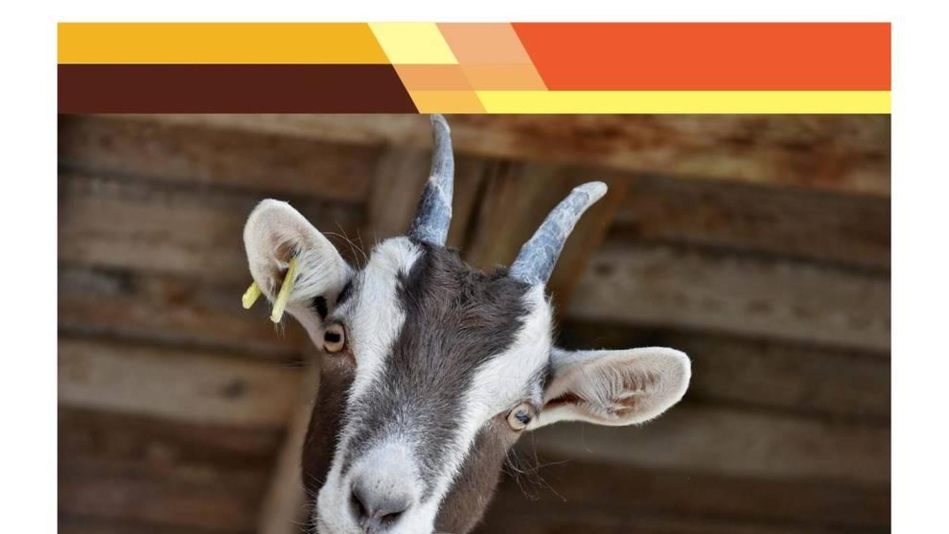 El Gobierno foral impulsa una campaña para el registro de todas las cabras de Navarra