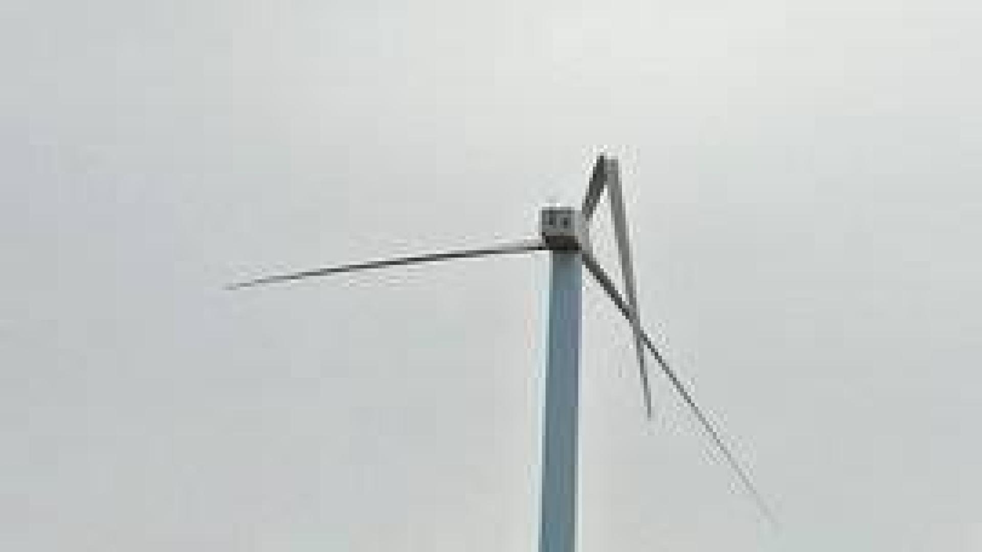 Daños por el viento en el centro y sur de Navarra