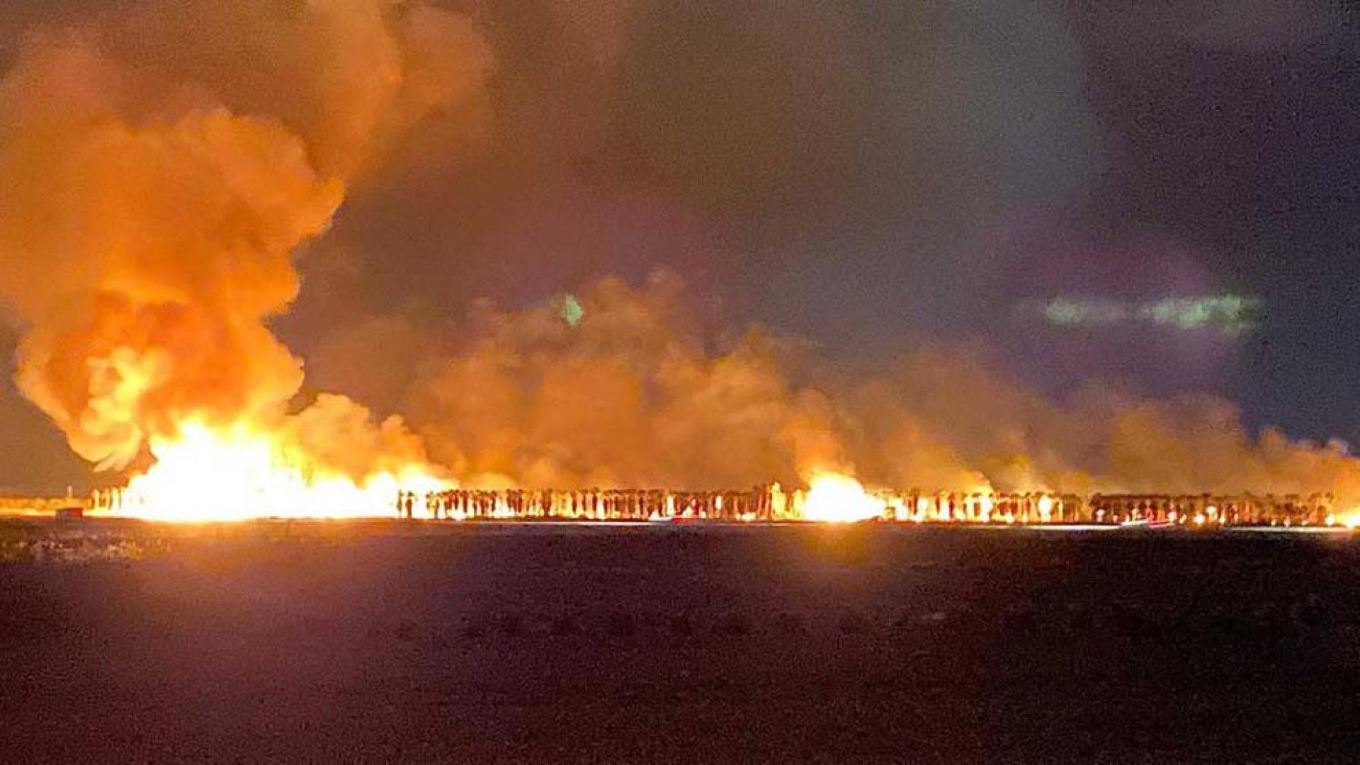 Un incendio calcina un vivero de 10 hectáreas de palmeras en Tarragona