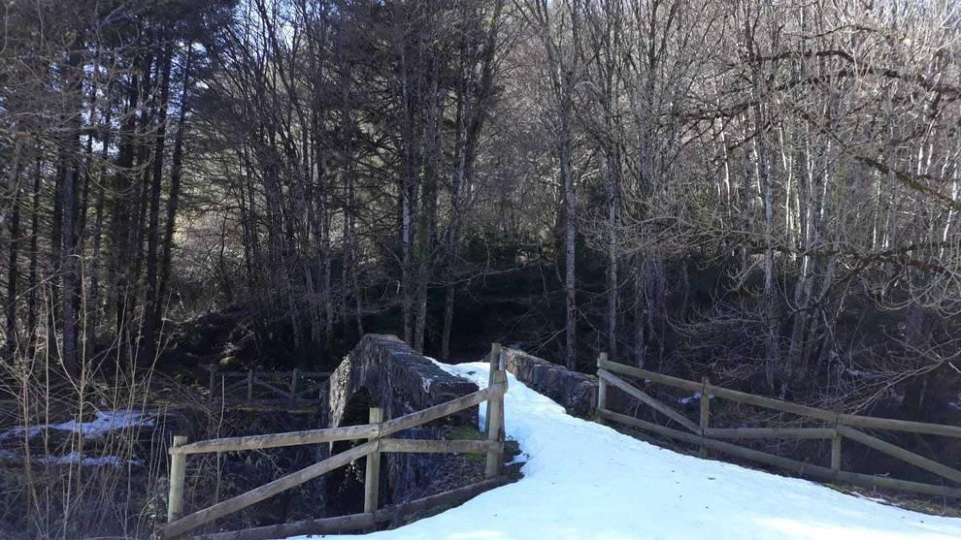 El invierno de los lectores, envíanos tus fotos por Whatsapp