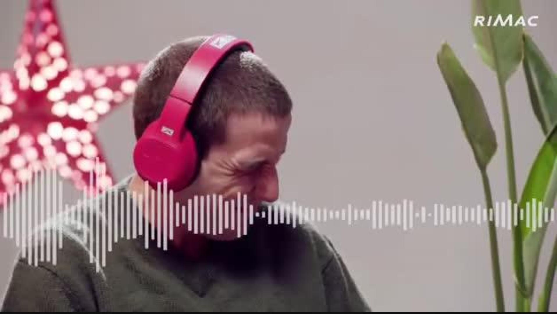 Los perros perciben el ruido de los petardos tres veces más fuerte que los humanos