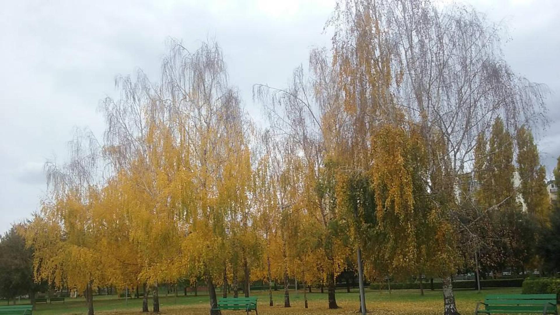 Fin de semana sin apenas lluvia y con más nubosidad el sábado