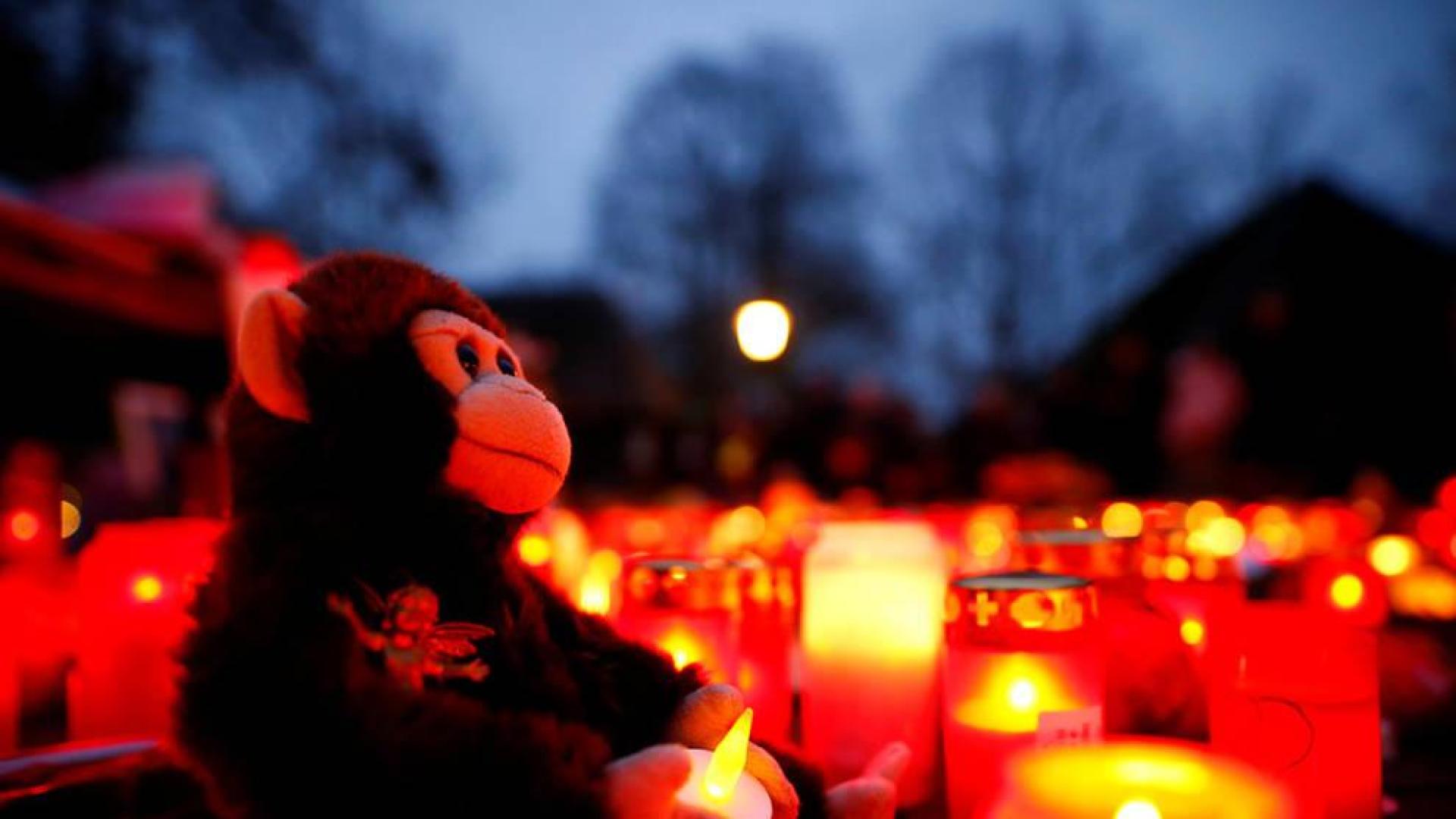 El zoo en el que murieron más de 30 animales por un incendio se llena de velas