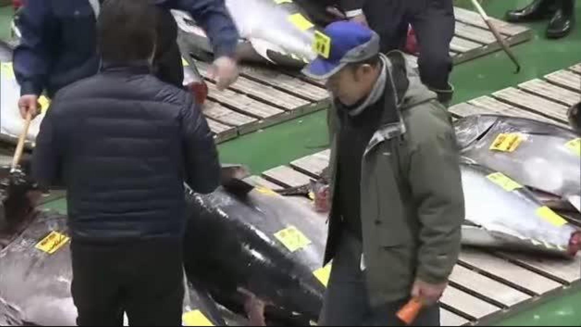 Un atún rojo de 278 kilos alcanza los 2,7 millones de euros en la lonja de Tokio