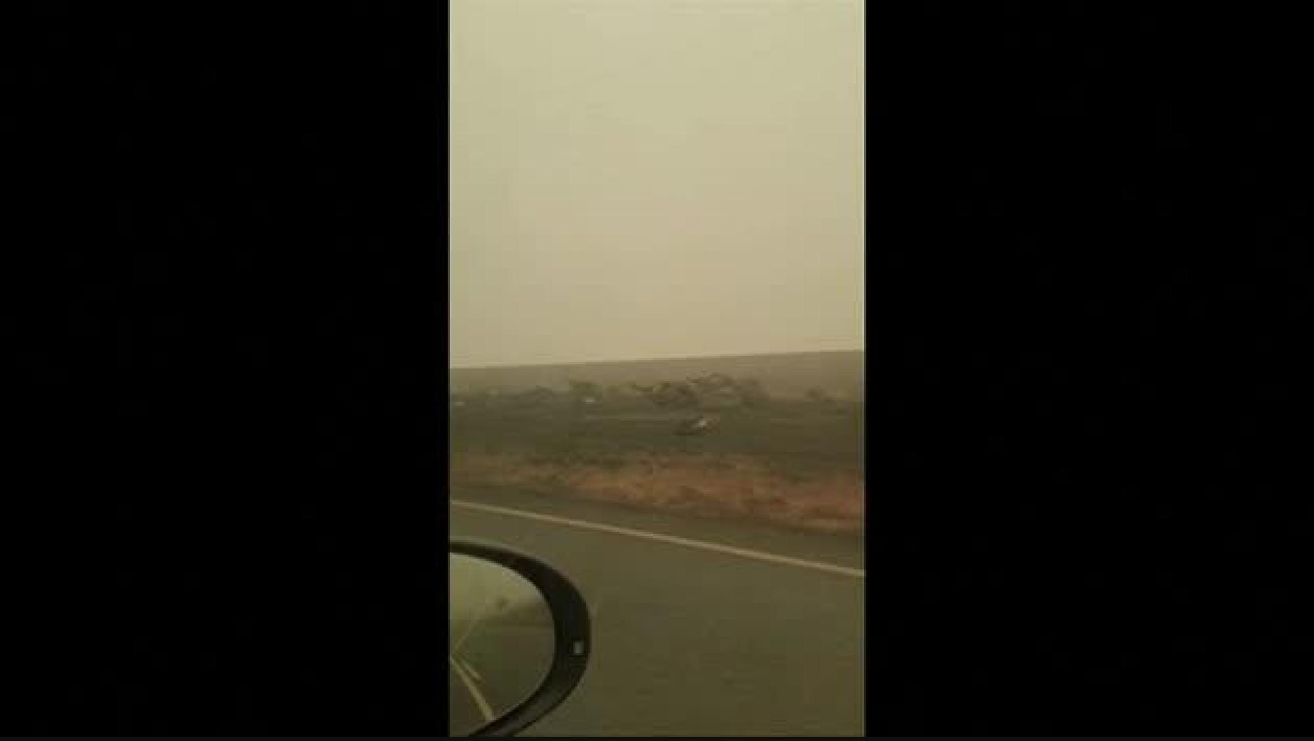 Los incendios en Australia dejan 500 millones de animales muertos
